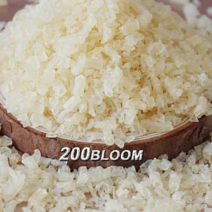 Food grade high quality gelatin powder on promotions